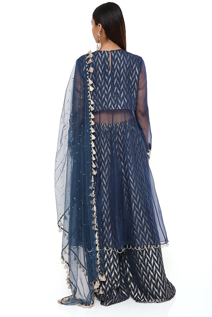 Noora Navy Organza Embroidered Yoke Anarkali With  Dash Ikat Banarasi Georgette Palazzo And Mukaish Net Dupatta