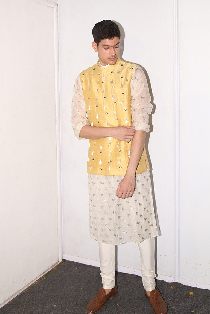 Aslan Cream Organza Kurta with Pale Yellow Dupion Silk Bandi and off-White Cotton Silk Churidar