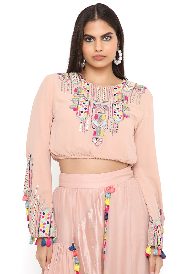 Blush Pink Embroidered Top With Blush Pink Organza And Georgette Asymmetric Skirt