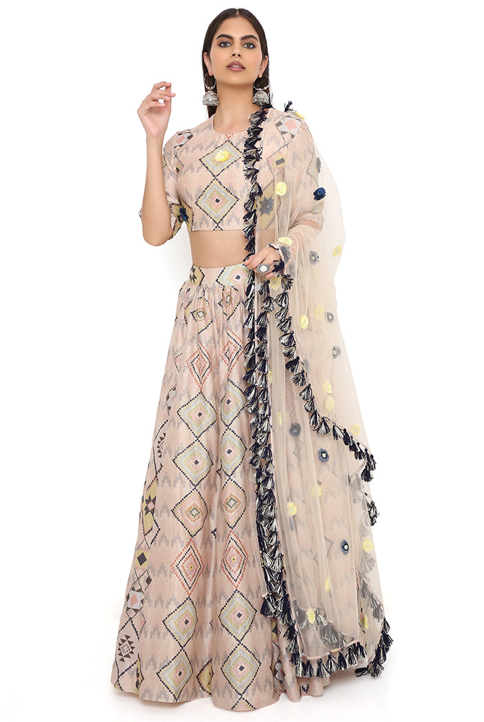 Blush Mosaic Diamond Print Embroidered Choli With Lehenga And Dupatta