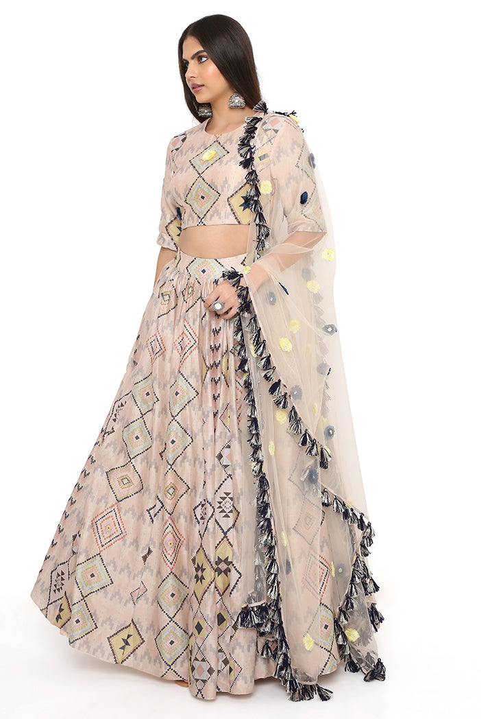 Blush Mosaic Diamond Print Embroidered Choli With Lehenga And Dupatta