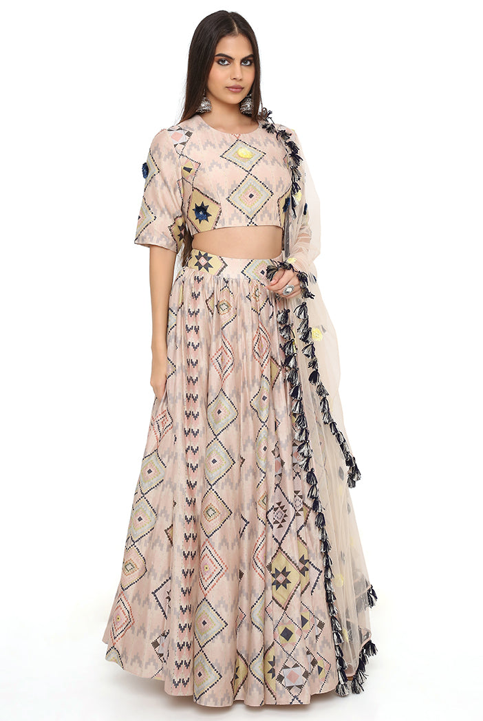 Blush Mosaic Diamond Print Embroidered Choli With Lehenga And Dupatta