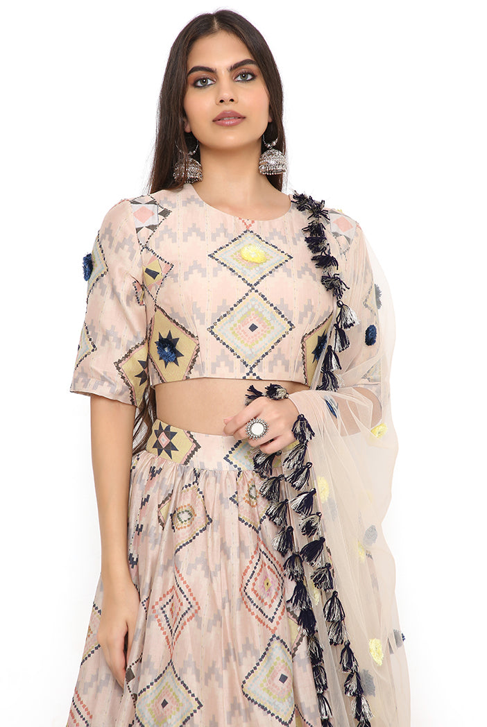 Blush Mosaic Diamond Print Embroidered Choli With Lehenga And Dupatta