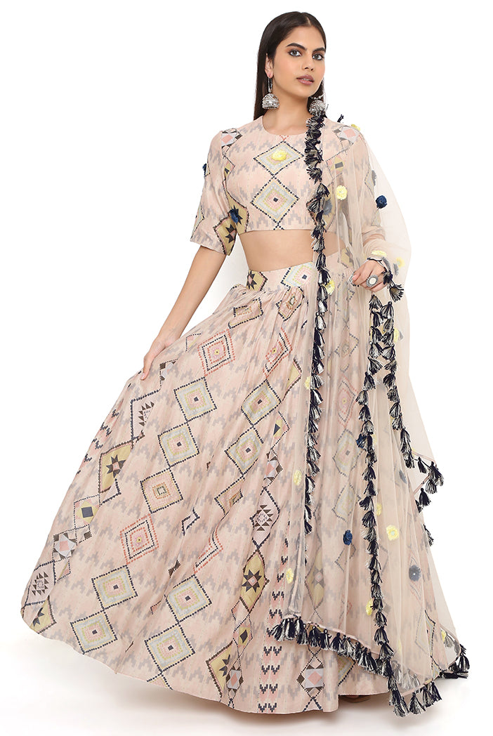 Blush Mosaic Diamond Print Embroidered Choli With Lehenga And Dupatta