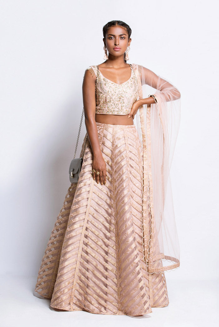 Blush Silk Choli with Net and Brocade Lehenga and Net Dupatta