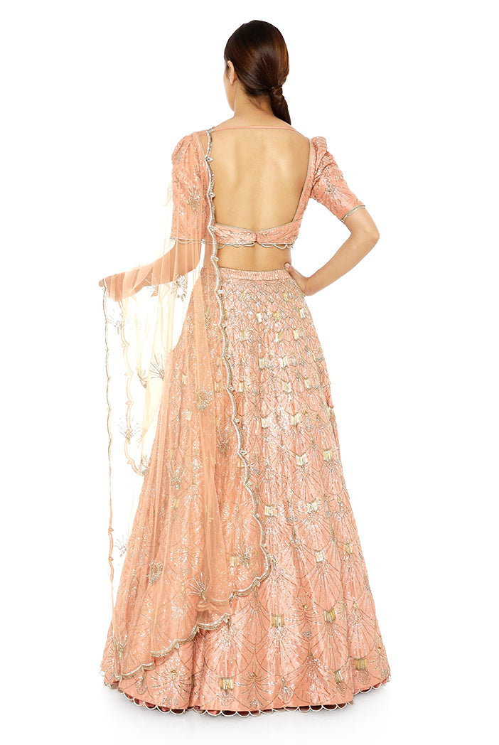 Coral Silk Choli and Lehenga with Net Dupatta
