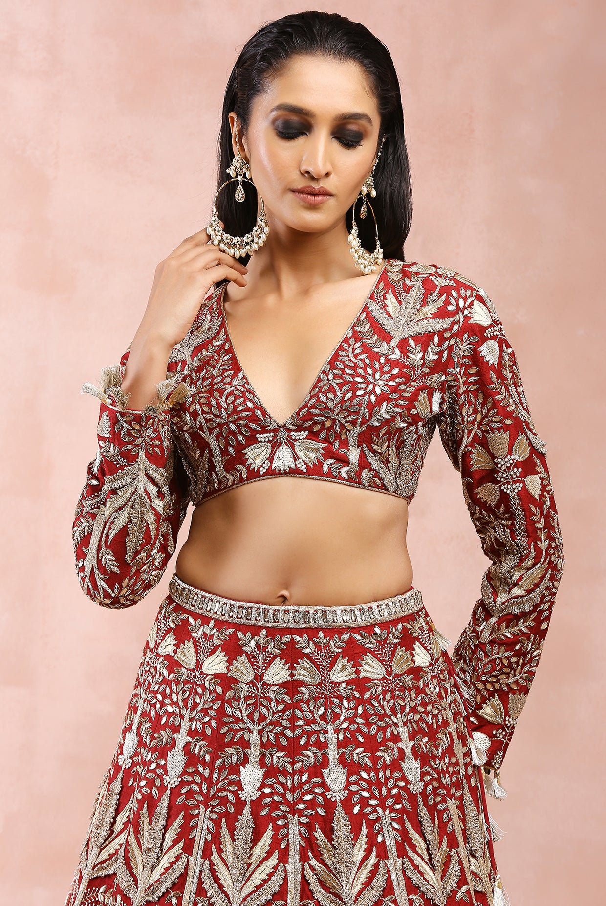 Dark Red Bagh Embroidered Choli With Lehenga And Dupatta