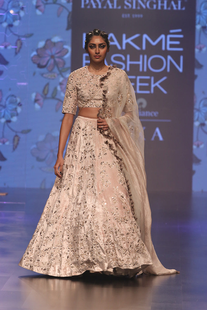 Larisa Stone Velvet Choli and Lehenga with Organza and Chanderi Stripe Dupatta