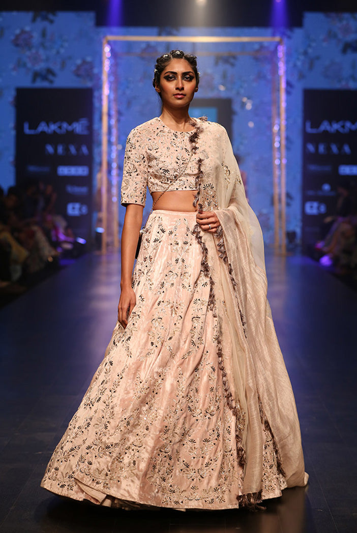 Larisa Stone Velvet Choli and Lehenga with Organza and Chanderi Stripe Dupatta