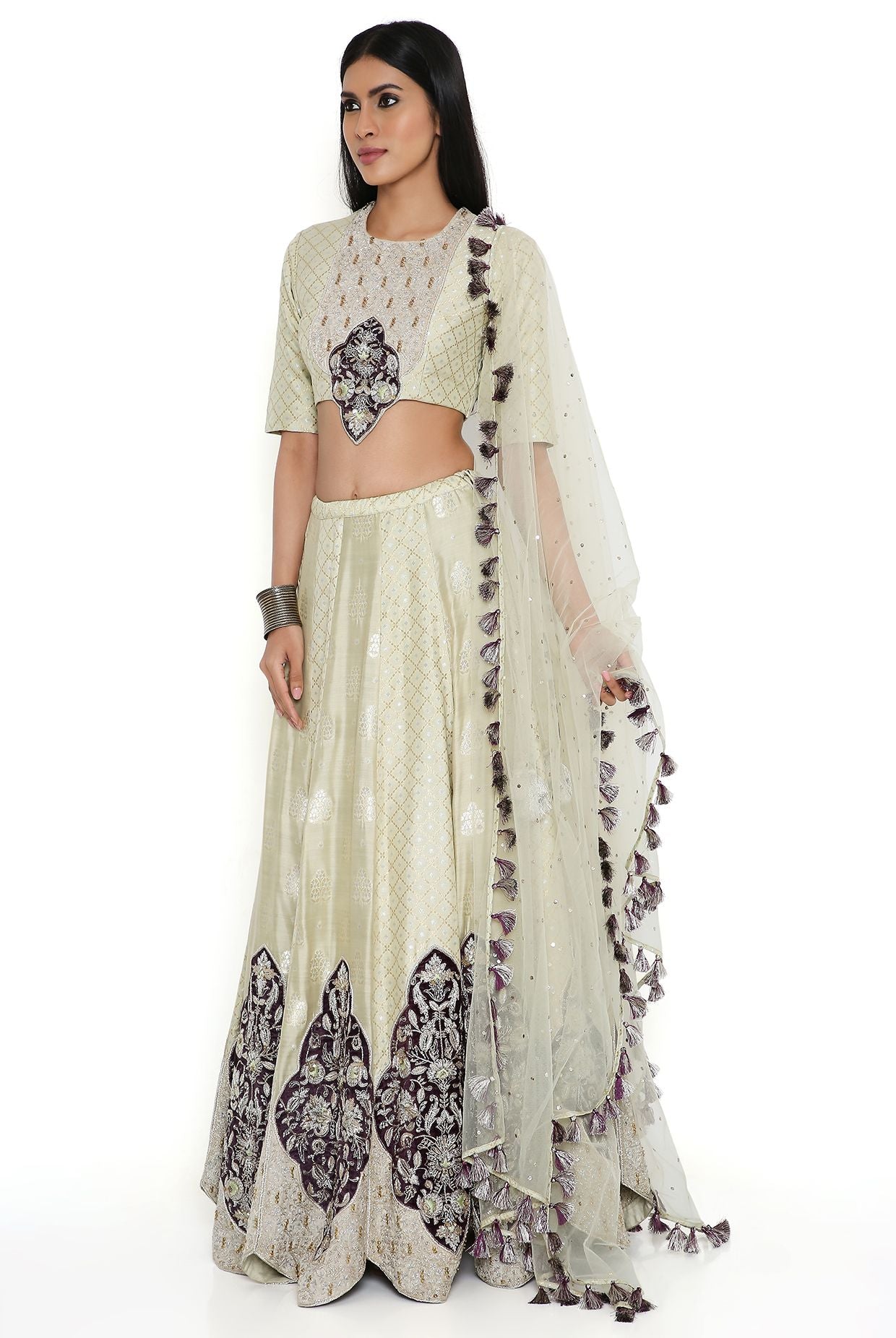 Mint Banarasi Silk Embroidered Choli And Lehenga With Mukaish Net Dupatta