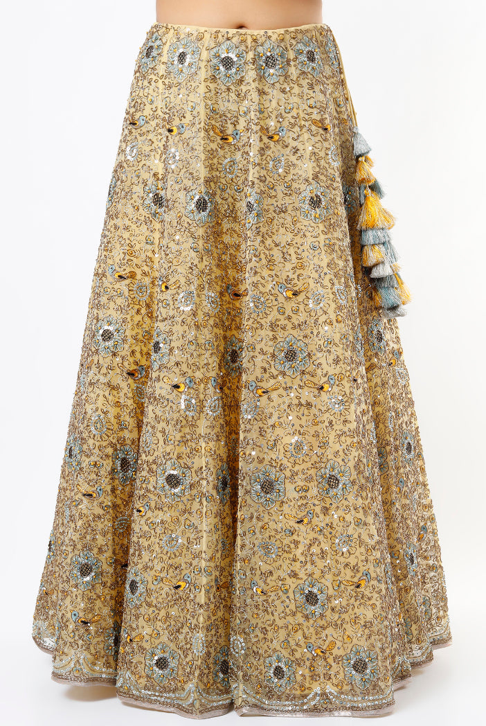 Pale Yellow Organza Embroidered Lehenga And Choli With Dupatta