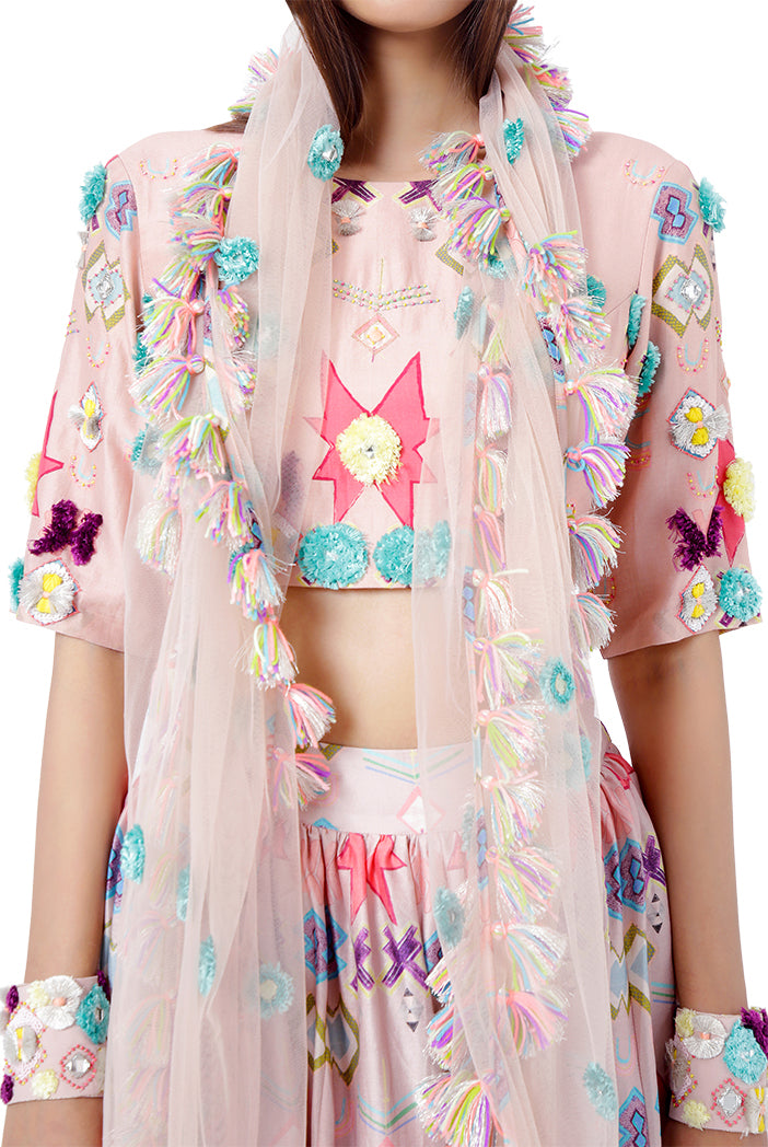 Rasal Blush Pink Printed Silkmul Choli with Silkmul Lehenga and Net Dupatta