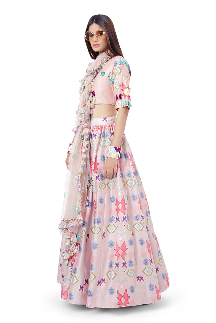 Rasal Blush Pink Printed Silkmul Choli with Silkmul Lehenga and Net Dupatta
