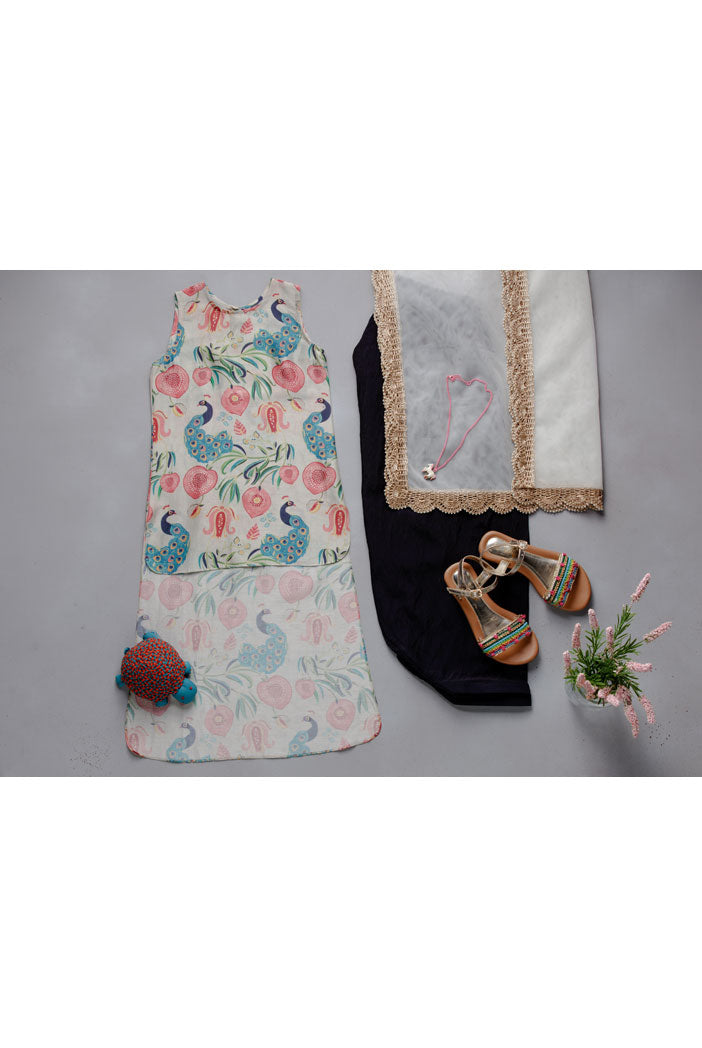 Khaki Anaar Aur Mor Print Kurta Set