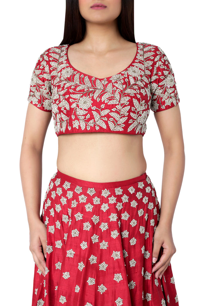 Red Colour Dupion Silk Choli with lehenga and Blush Colour Net Dupatta