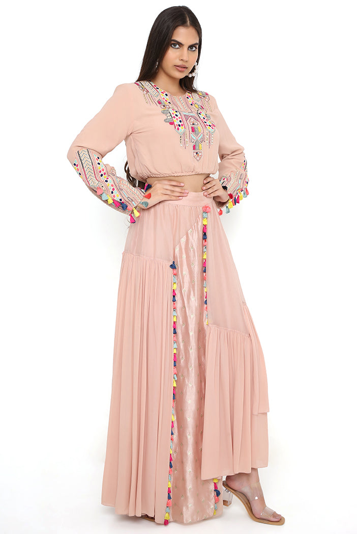 Blush Pink Embroidered Top With Blush Pink Organza And Georgette Asymmetric Skirt