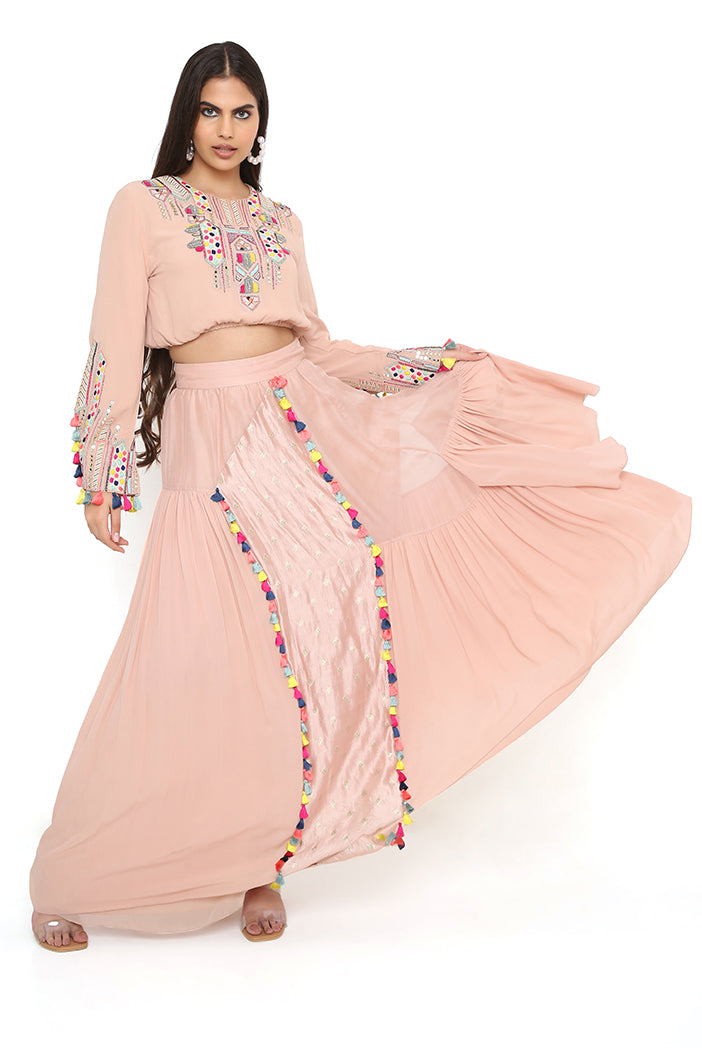 Blush Pink Embroidered Top With Blush Pink Organza And Georgette Asymmetric Skirt