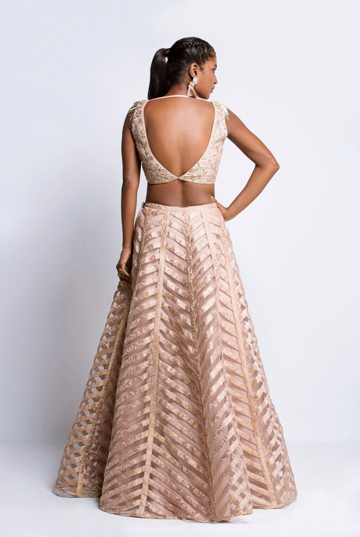 Blush Silk Choli with Net and Brocade Lehenga and Net Dupatta