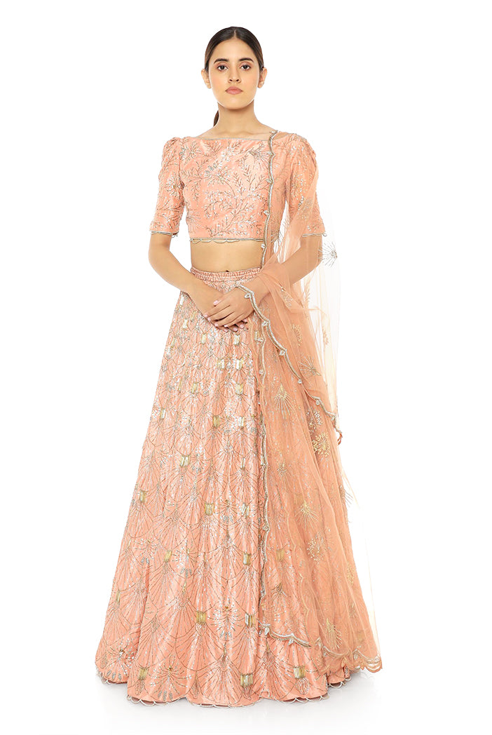 Coral Silk Choli and Lehenga with Net Dupatta