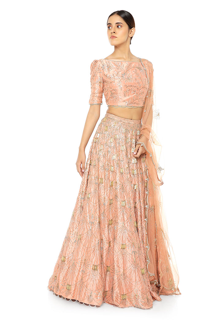 Coral Silk Choli and Lehenga with Net Dupatta