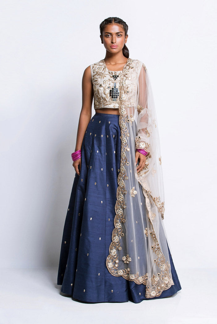 Grey Dupion Silk Choli with Navy Dupion Silk Lehenga and Grey Net Dupatta