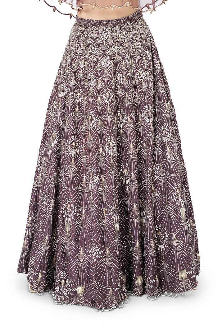 Gunmetal Brown Colour Net Cape with Mukaish Georgette Bustier and Silk Lehenga