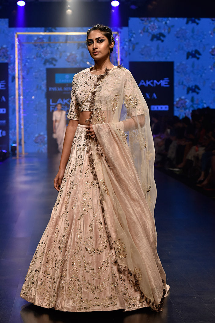 Larisa Stone Velvet Choli and Lehenga with Organza and Chanderi Stripe Dupatta