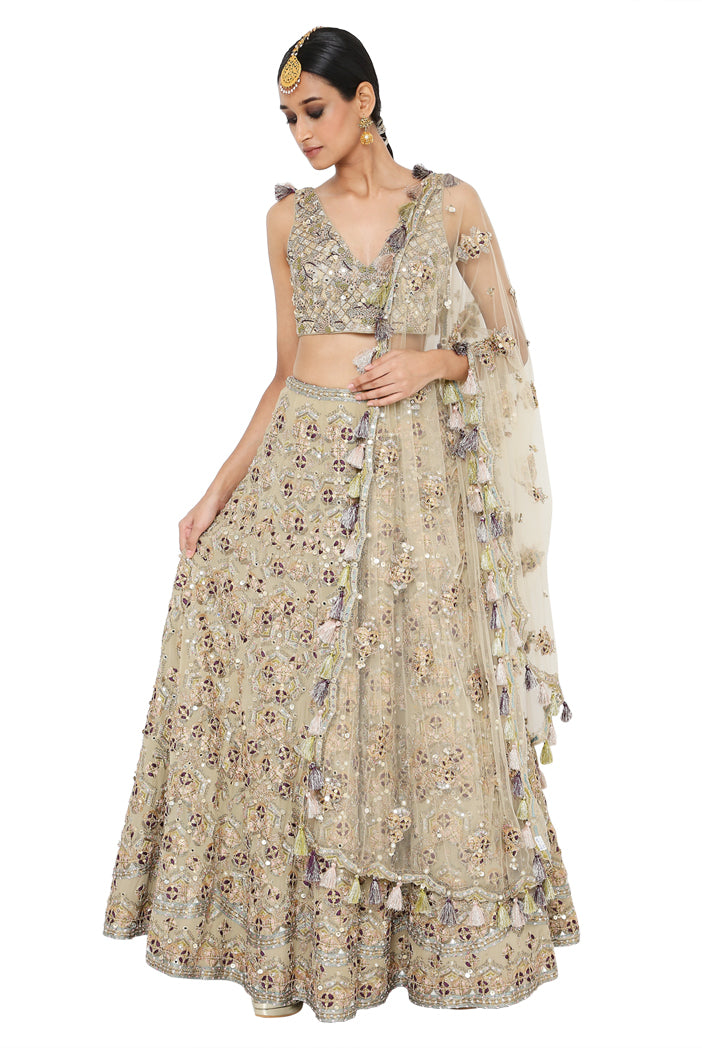 Tahira Olive Colour Georgette Lehenga And Choli With Net Dupatta