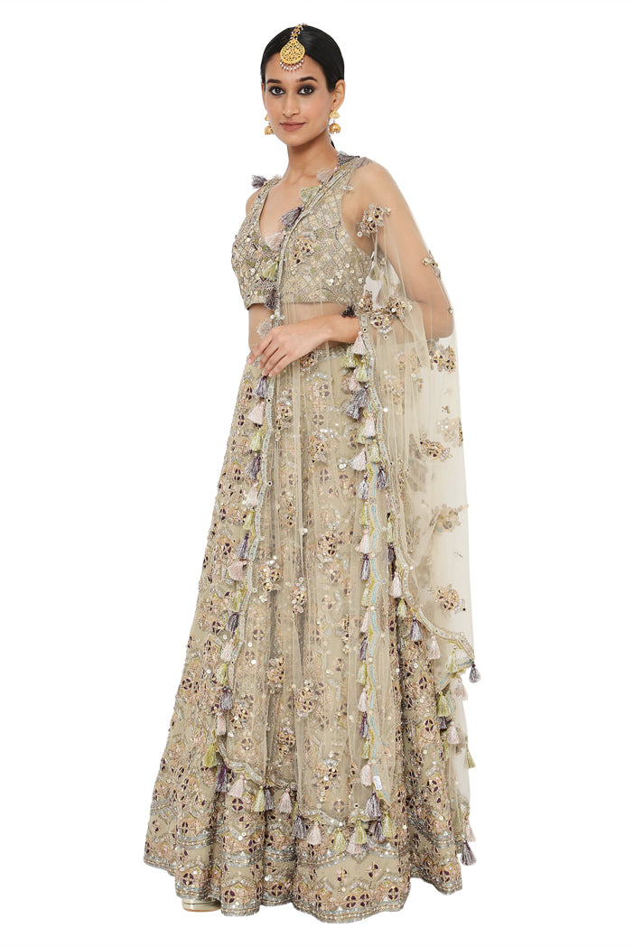Tahira Olive Colour Georgette Lehenga And Choli With Net Dupatta