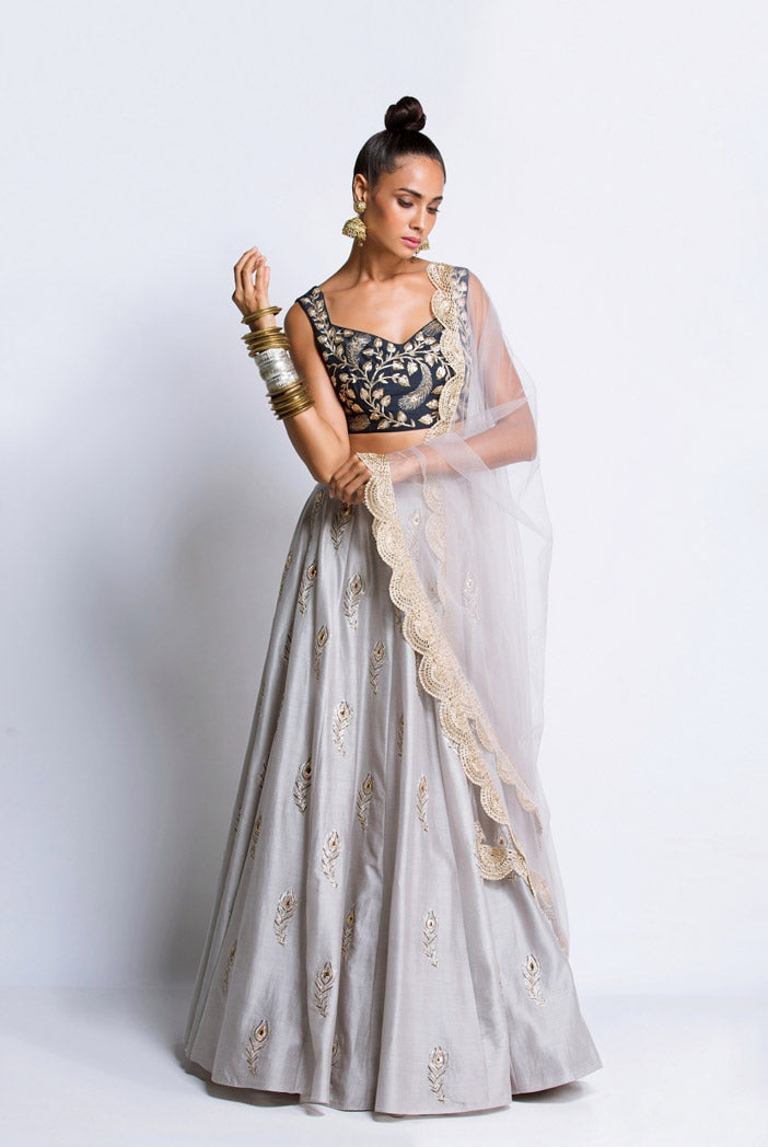 Navy Dupion Silk Choli with Grey Silkmul Laehenga and Net Dupatta