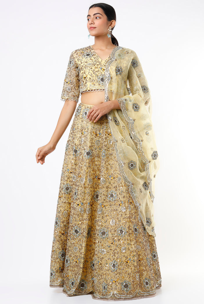 Pale Yellow Organza Embroidered Lehenga And Choli With Dupatta
