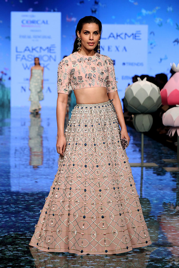 Sasha Blush Choli and Lehenga