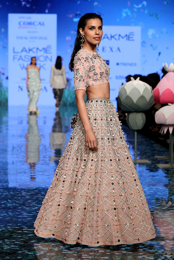 Sasha Blush Choli and Lehenga