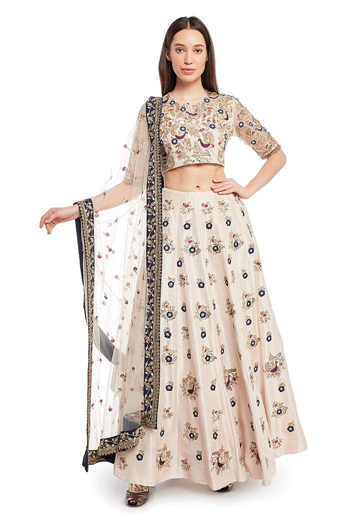 Stone Colour Silk Choli and Lehenga with Net Dupatta