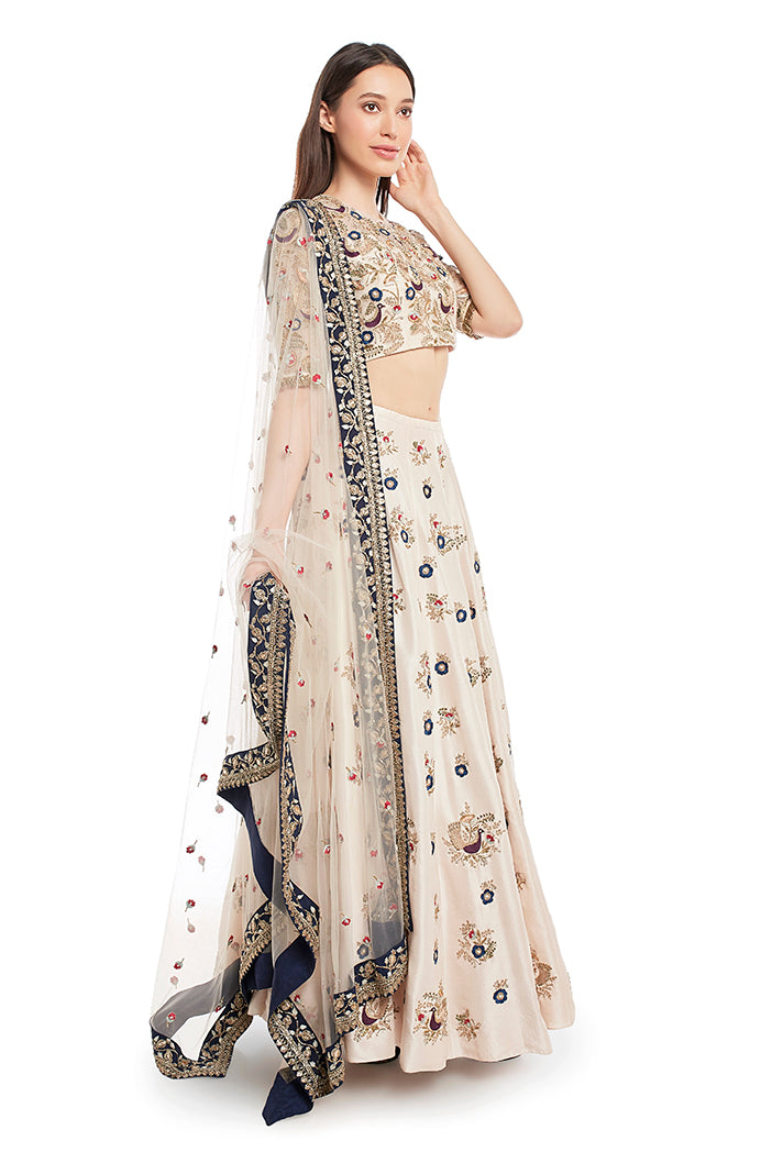 Stone Colour Silk Choli and Lehenga with Net Dupatta